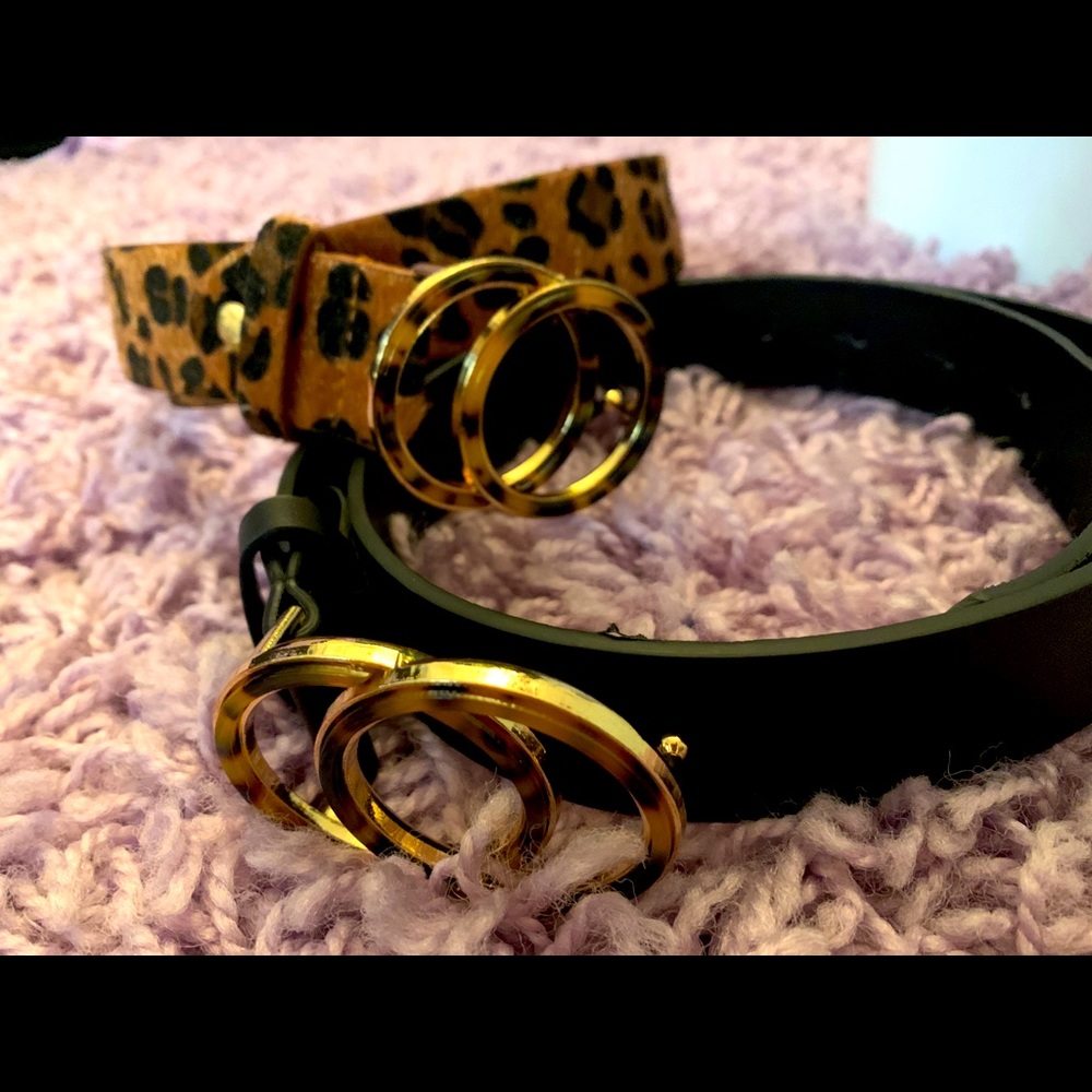 Stylish belt pair